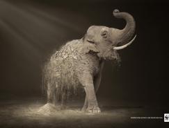 WWF 公益广告：荒漠化每年导致6000物种灭亡